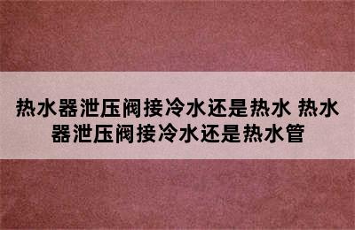 热水器泄压阀接冷水还是热水 热水器泄压阀接冷水还是热水管